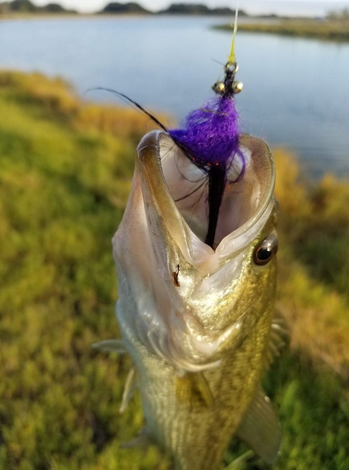 Bass Attractant - Fishing Tackle - Bass Fishing Forums