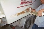 Whaleratstart-1.jpg