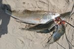 20160919_104313.jpg