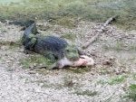 20170519_171230.jpg