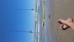 20170822_150609.jpg