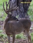 C80F2772-2B54-40AF-B617-13B757FE9AA4.jpg
