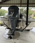 IMG_7360.jpeg